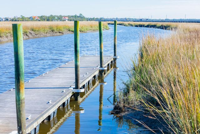 1710 Vireo Court, Johns Island, SC 29455