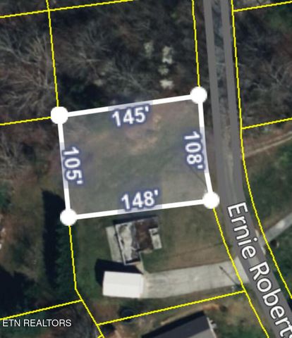 Lot 46 Ernie Roberts Rd, Rutledge, TN 37861