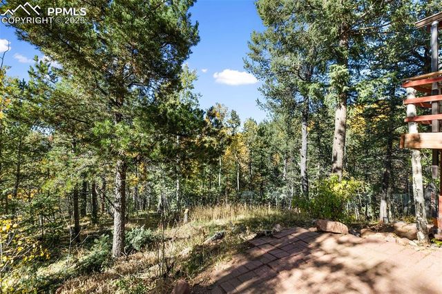 679 Calcite Drive, Divide, CO 80814