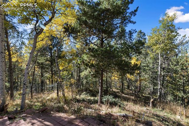 679 Calcite Drive, Divide, CO 80814