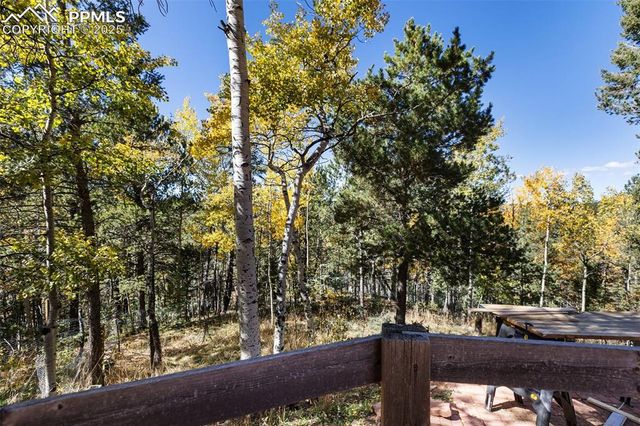 679 Calcite Drive, Divide, CO 80814