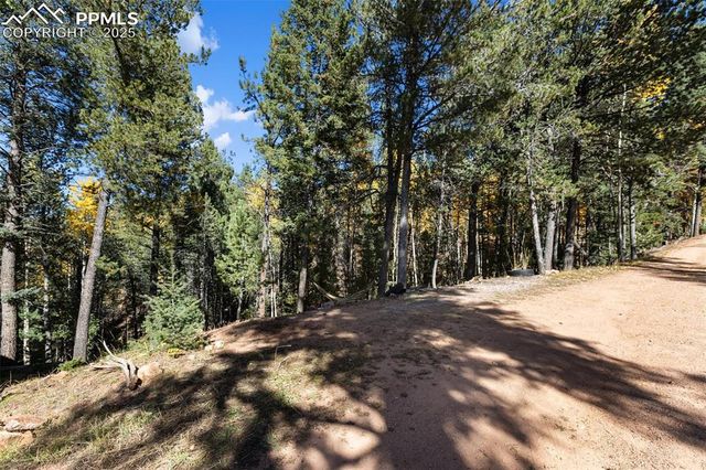 679 Calcite Drive, Divide, CO 80814