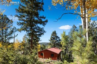 679 Calcite Drive, Divide, CO 80814