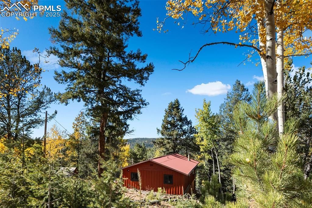 679 Calcite Drive, Divide, CO 80814