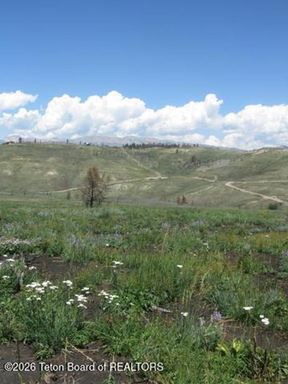 TBD CHIPPEWAUGH LANE, Bondurant, WY 82922 photo 2