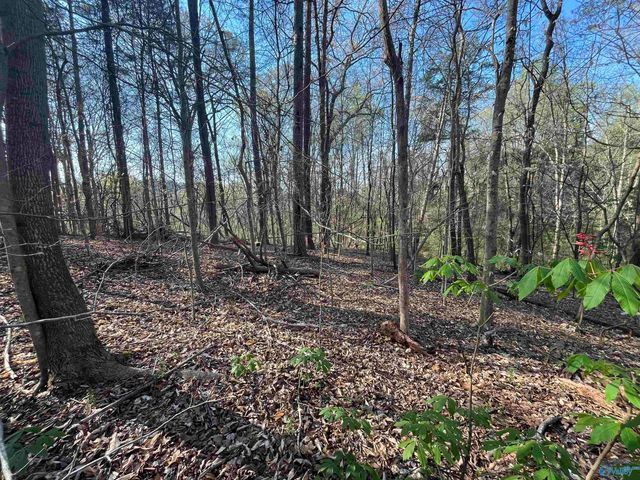 Lot 1 & Pt of 2 Halsey Street, Gadsden, AL 35901