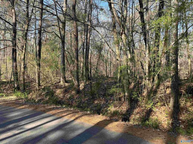 Lot 1 & Pt of 2 Halsey Street, Gadsden, AL 35901