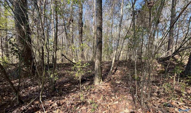 Lot 1 & Pt of 2 Halsey Street, Gadsden, AL 35901