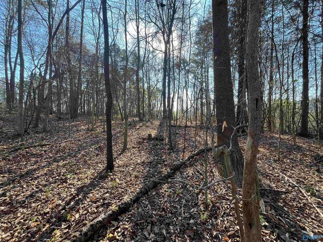 Lot 1 & Pt of 2 Halsey Street, Gadsden, AL 35901