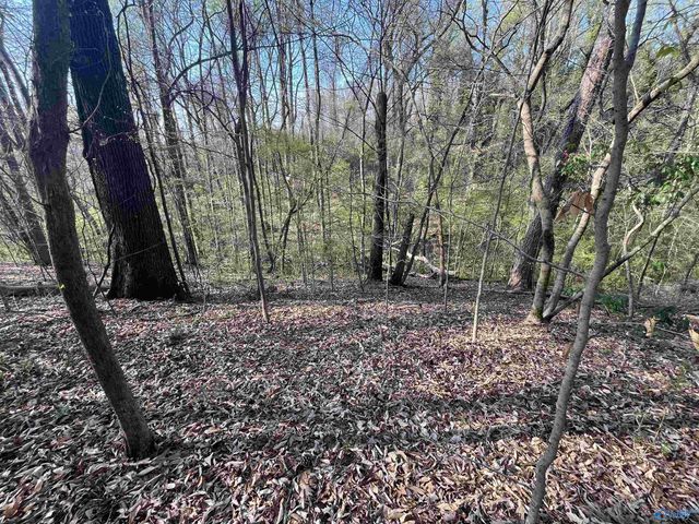 Lot 1 & Pt of 2 Halsey Street, Gadsden, AL 35901
