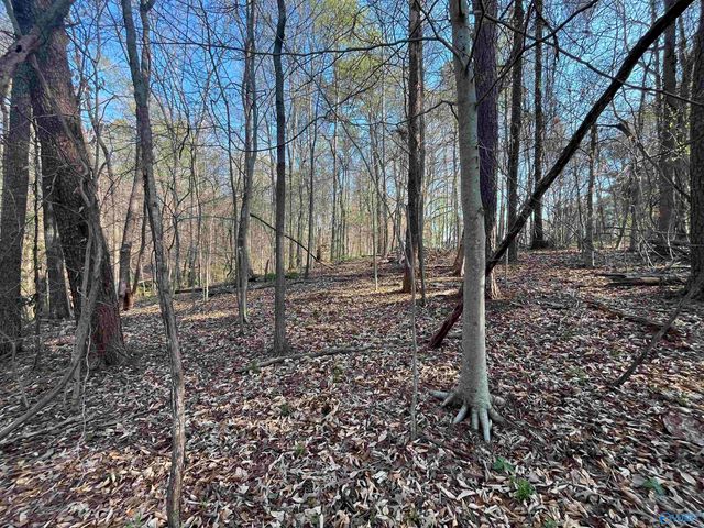 Lot 1 & Pt of 2 Halsey Street, Gadsden, AL 35901