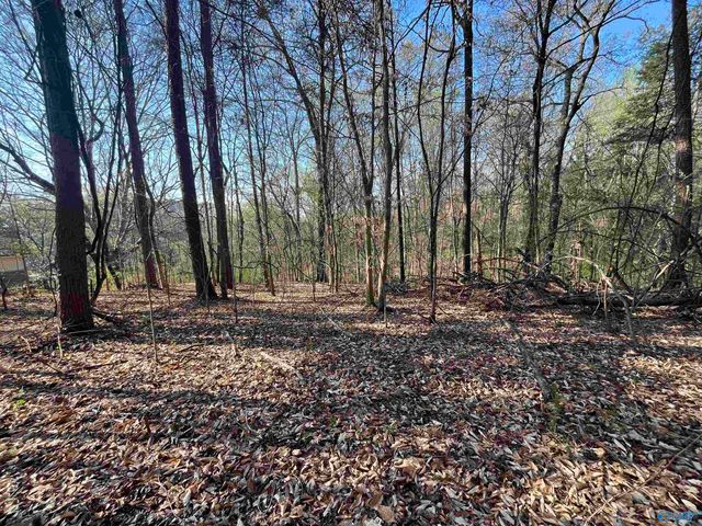 Lot 1 & Pt of 2 Halsey Street, Gadsden, AL 35901
