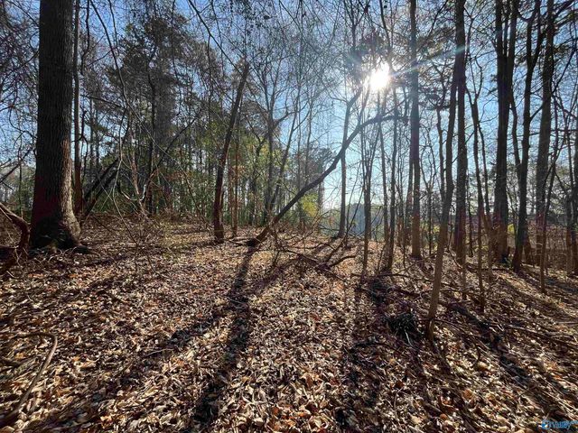 Lot 1 & Pt of 2 Halsey Street, Gadsden, AL 35901