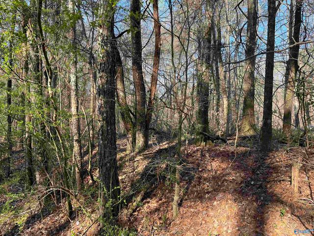 Lot 1 & Pt of 2 Halsey Street, Gadsden, AL 35901