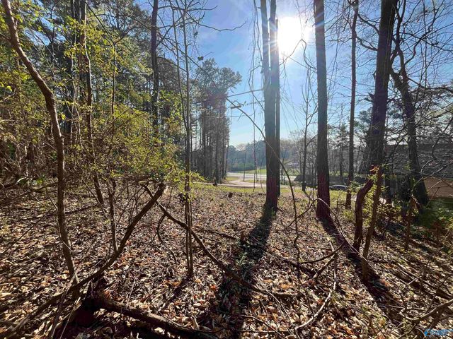 Lot 1 & Pt of 2 Halsey Street, Gadsden, AL 35901
