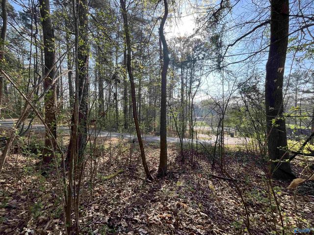 Lot 1 & Pt of 2 Halsey Street, Gadsden, AL 35901
