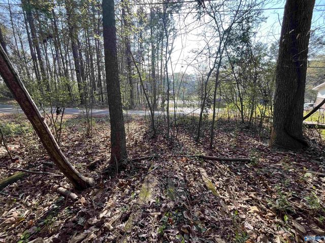 Lot 1 & Pt of 2 Halsey Street, Gadsden, AL 35901