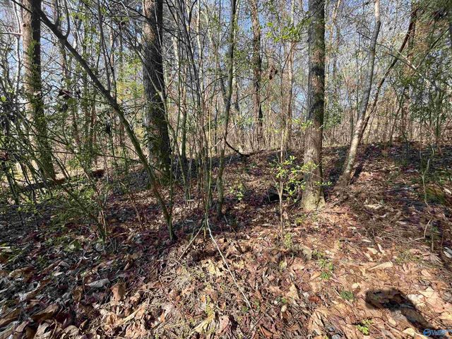 Lot 1 & Pt of 2 Halsey Street, Gadsden, AL 35901