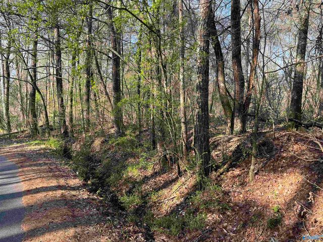 Lot 1 & Pt of 2 Halsey Street, Gadsden, AL 35901
