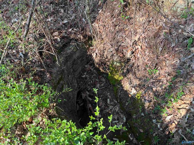 Lot 1 & Pt of 2 Halsey Street, Gadsden, AL 35901