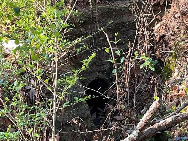 Lot 1 & Pt of 2 Halsey Street, Gadsden, AL 35901