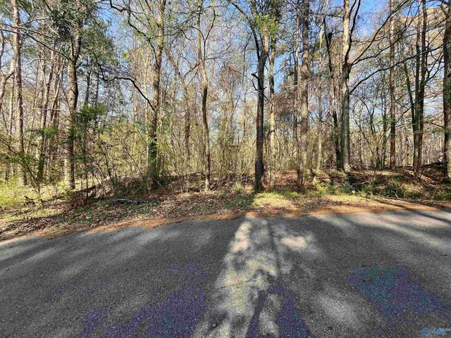 Lot 1 & Pt of 2 Halsey Street, Gadsden, AL 35901