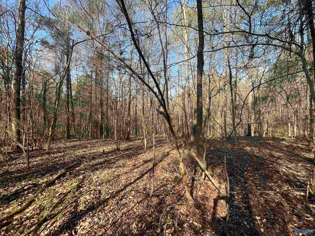Lot 1 & Pt of 2 Halsey Street, Gadsden, AL 35901