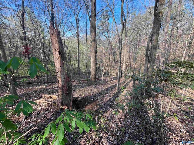 Lot 1 & Pt of 2 Halsey Street, Gadsden, AL 35901