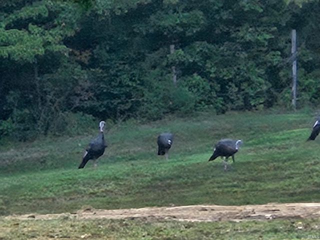 8191 E Northshore Drive, Unionville, IN 47468