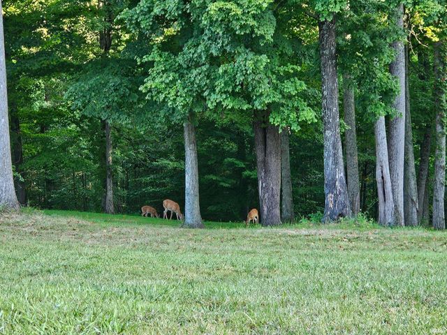 8191 E Northshore Drive, Unionville, IN 47468