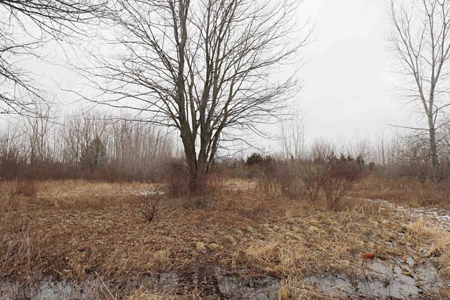 12803 Brady Road, Chesaning Twp, MI 48616