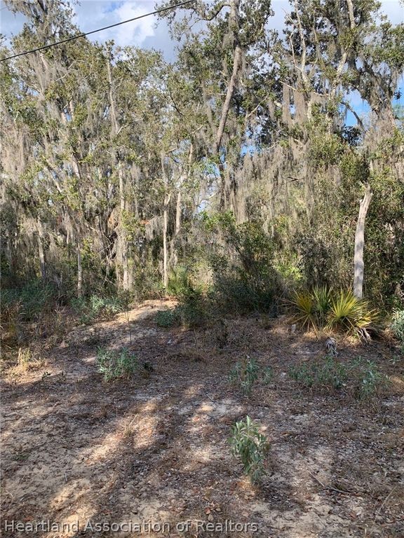 2304 N Barclay Road, Avon Park, FL 33825