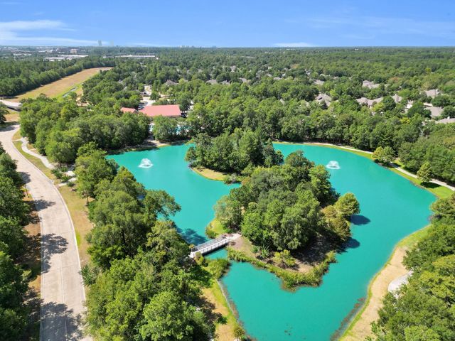 3 Darlinghurst Drive, Conroe, TX 77384