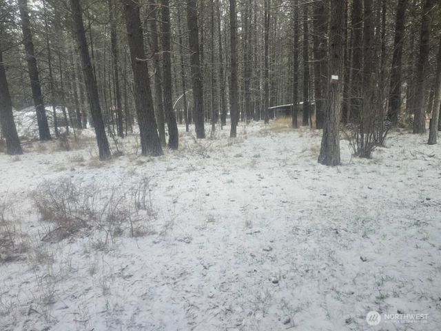 25691 E Valley View Drive, Lincoln, WA 99147