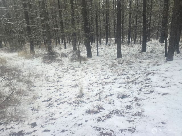 25691 E Valley View Drive, Lincoln, WA 99147