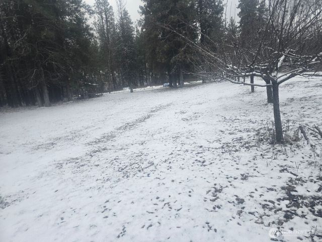 25691 E Valley View Drive, Lincoln, WA 99147