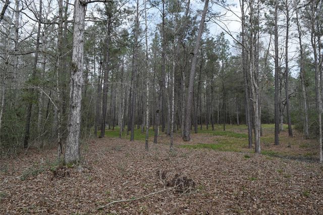 309 Exploration Road, Willis, TX 77378