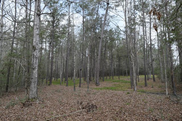 309 Exploration Road, Willis, TX 77378