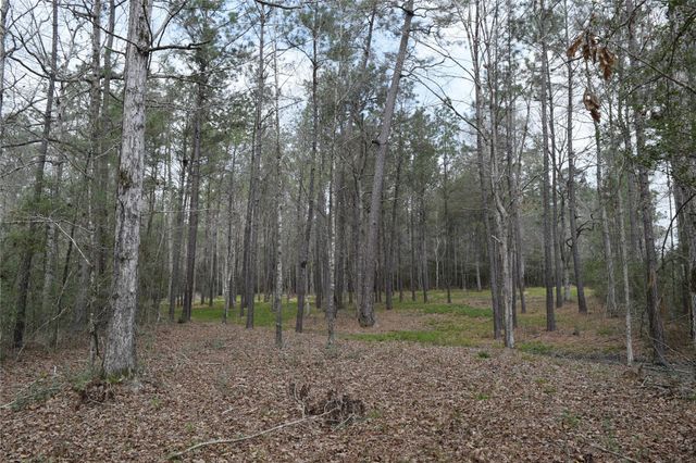 309 Exploration Road, Willis, TX 77378