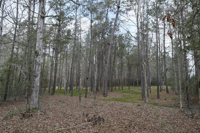 309 Exploration Road, Willis, TX 77378