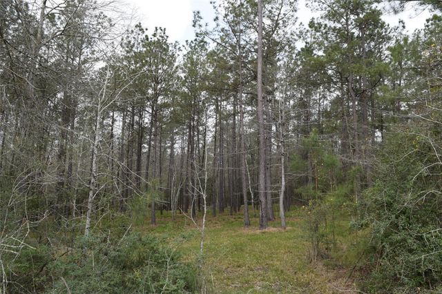 309 Exploration Road, Willis, TX 77378