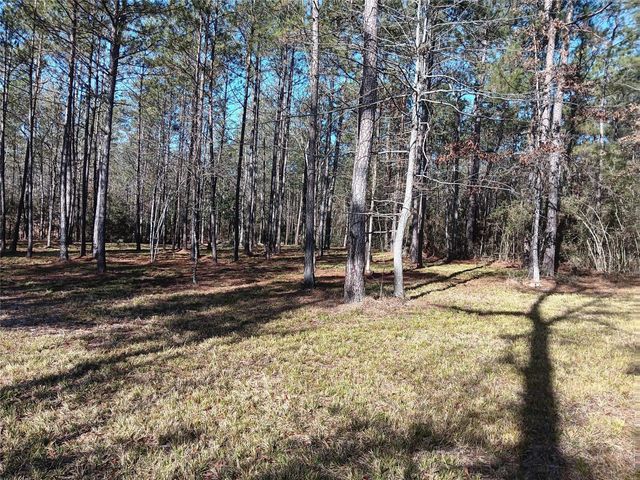 309 Exploration Road, Willis, TX 77378