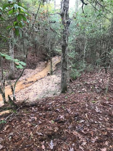 309 Exploration Road, Willis, TX 77378