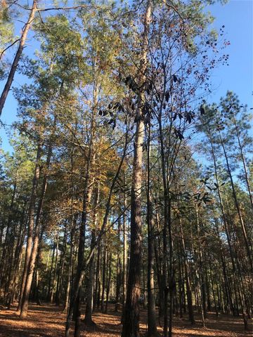 309 Exploration Road, Willis, TX 77378