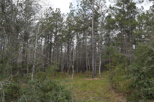 309 Exploration Road, Willis, TX 77378