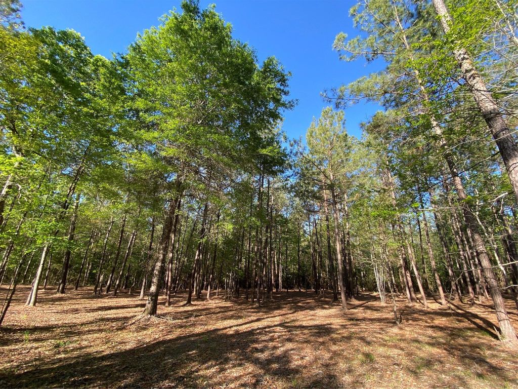 309 Exploration Road, Willis, TX 77378