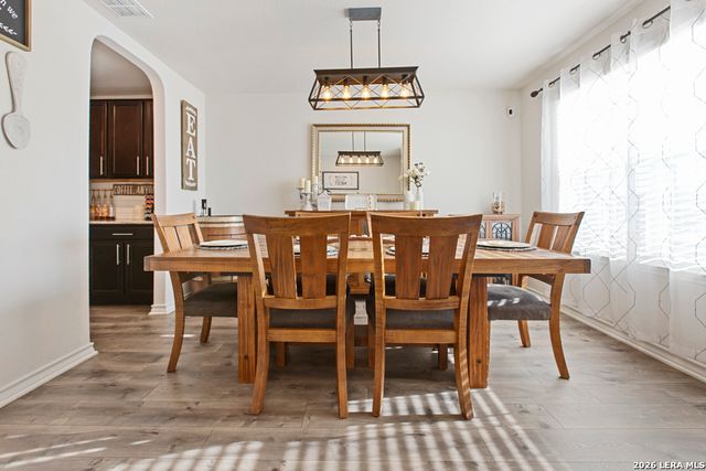 955 Brown Thrasher, San Antonio, TX 78253