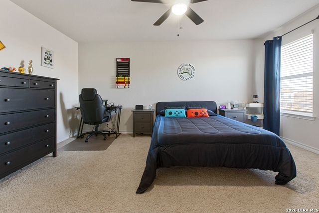 955 Brown Thrasher, San Antonio, TX 78253