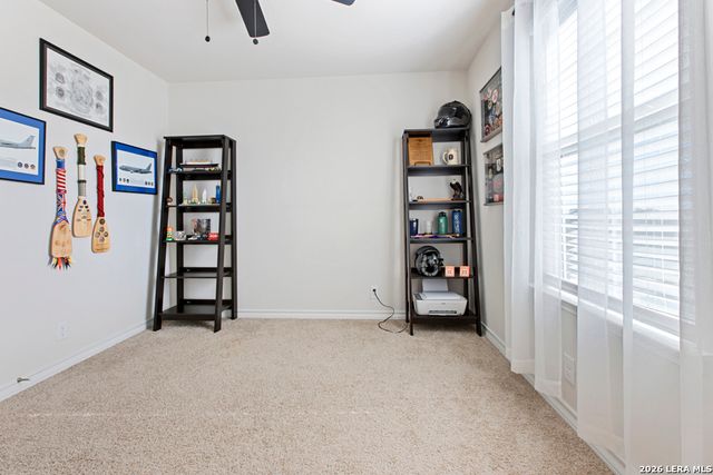 955 Brown Thrasher, San Antonio, TX 78253