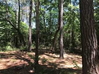 418 Portico, Livingston, TX 77351